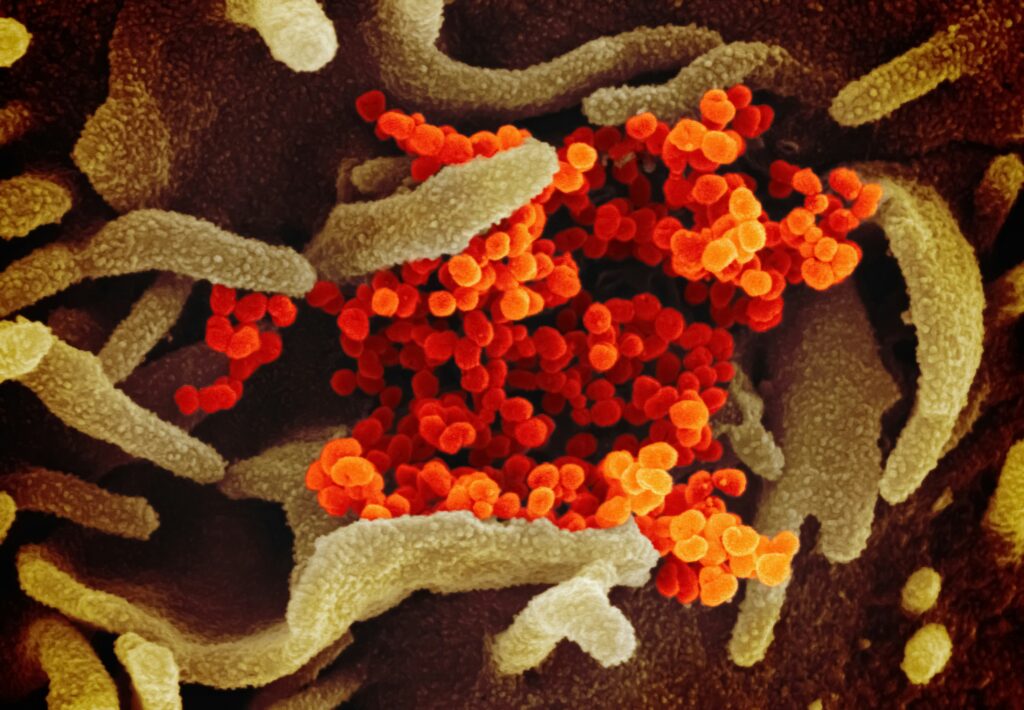 Crosstalking circuits of the gut-metabolic-lung-brain axis